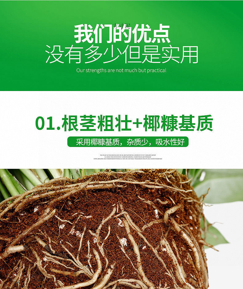 1f11de2b-1b82-40f2-9baa-e15293489b3a.jpe