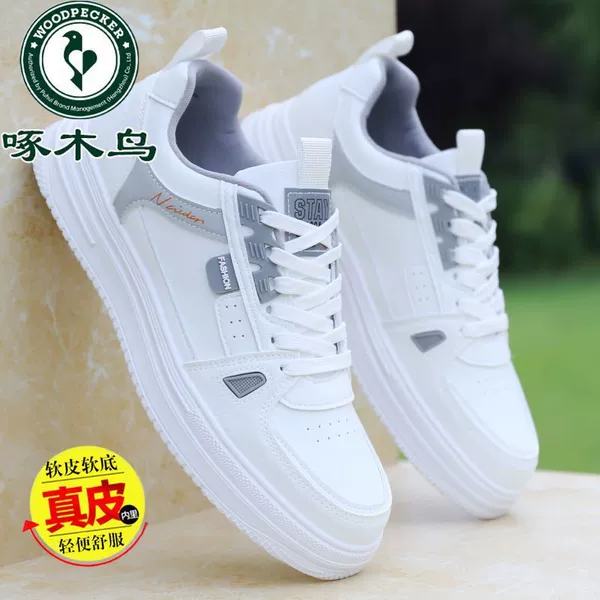 Woodpecker--white gray [authentic guarantee]