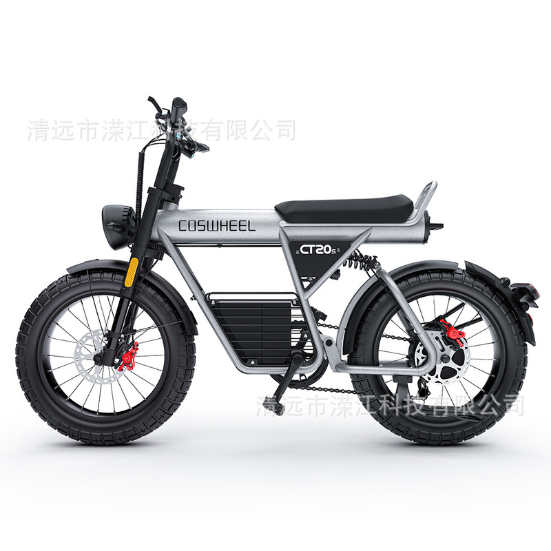 Coswheel 20 inch 60V1500W off-road electric bicycle mountain bike fat tire electric assist beach bike