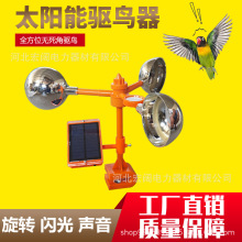 ̫����Z���L��������B���¿��W�������@�r���s�B���߇��B����