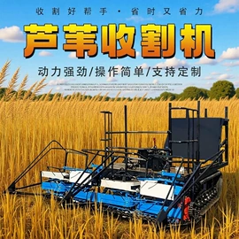 路面机械;其他行业专用;其他工程机械