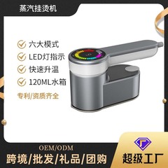 高端手持挂烫机熨衣机大功率蒸汽家用便携式电熨斗旅行熨斗