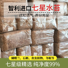 ëëxˮ̦mֲm̦\ֲόGֲGֲ