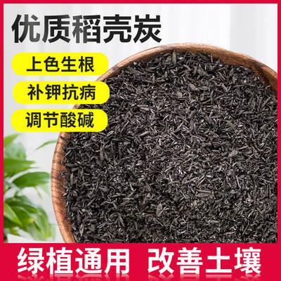 activated charcoal paste