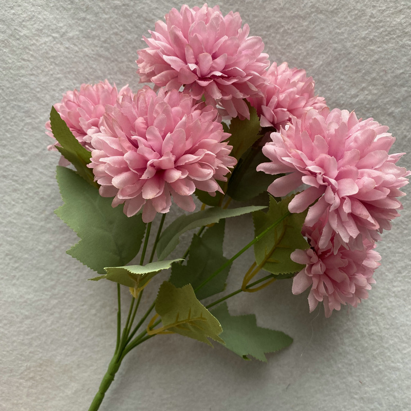 Dark Bean Paste Color. JPG