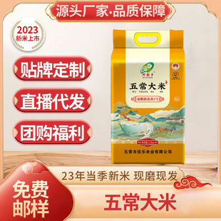 �S�����l �峣��������24��|�����׮�������5����հ��b�峣����