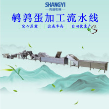 水滴蛋加工流水线五香鹌鹑蛋成套加工设备带壳卤蛋定心熟化机