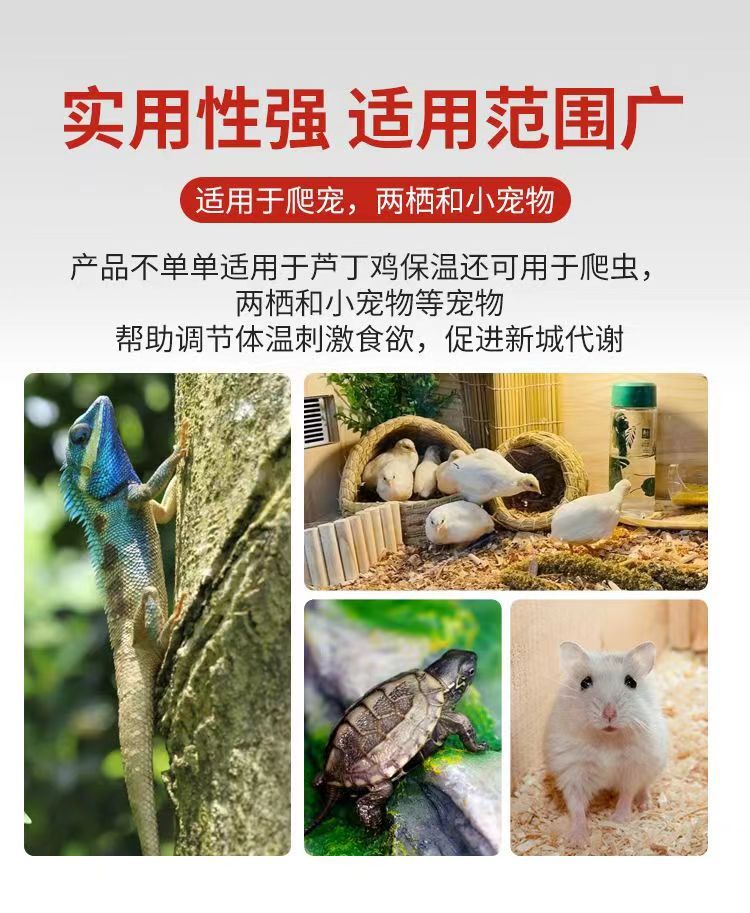 微信图片_20240401093853