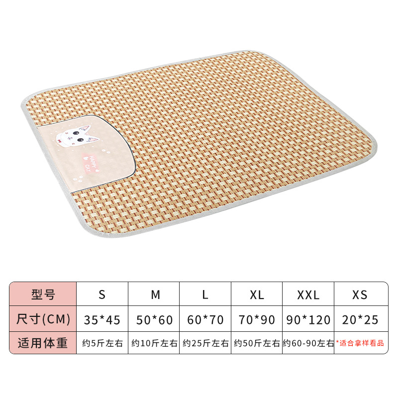 윌라이트 핑크 키튼