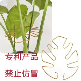 �羳�Fˇ�̶�֧���҃��������Ի���̶��ܷ�����֧��֧�΄���