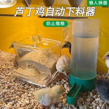 水壶小鸡水槽喂器雏鸡育雏下料鹌鹑鹌鹑加高食槽芦丁鸡自动喂食器