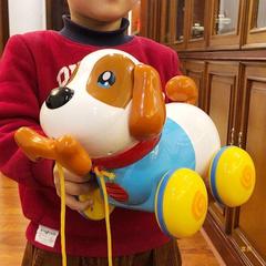 子供の子犬のおもちゃの犬は歩くことができます。