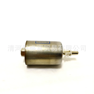 Gasoline filter Century Regal 2.5/3.0L Royal