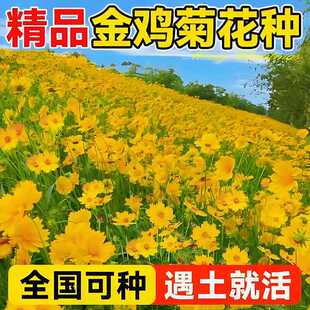 ���u�ջ��N�ӽ��X�մ��������l�徰�^�����̨�����ļ��N���ܷN��