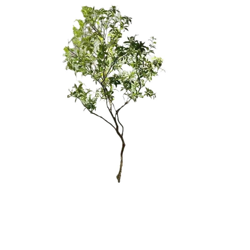 模擬馬酔木緑植物造園偽植物装飾屋内大型床置き風景本物の木窓装飾木|undefined