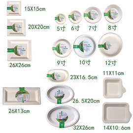 厂家现货整箱批发纸碟圆形正方形长方形椭圆形一次性餐盘加厚纸盘