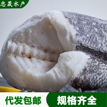 整条智利银鳕鱼冻南极犬牙鱼法国一条鱼批发免费代切新鲜宝宝辅食