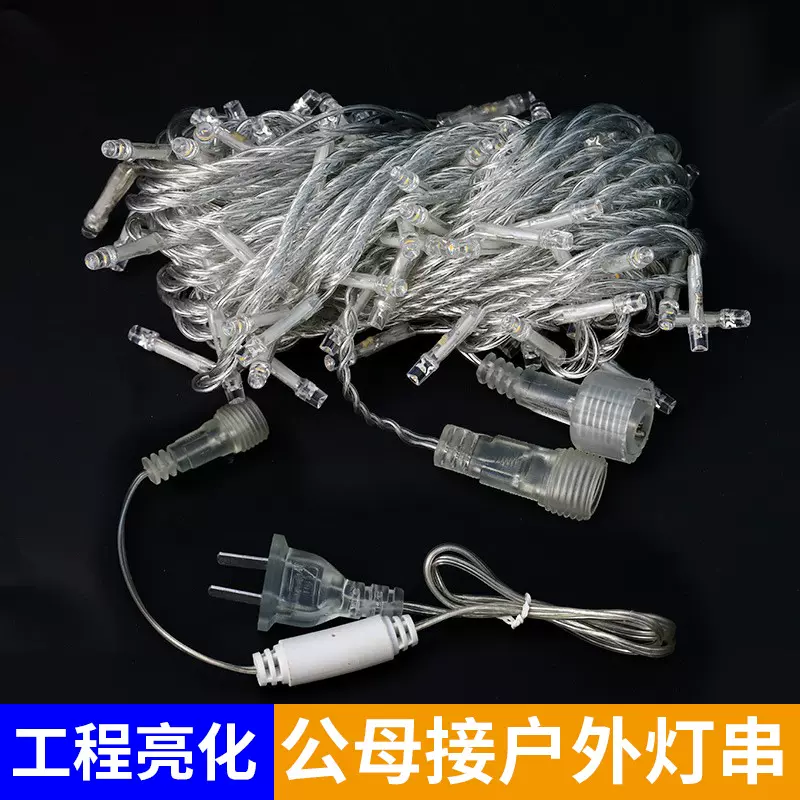 源头工厂led彩灯串灯满天星装饰灯节日灯氛围灯公母插灯串绕树灯