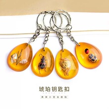 景点纪念品真昆虫标本琥珀钥匙扣挂件地摊小学生挂饰哪吒钥匙扣