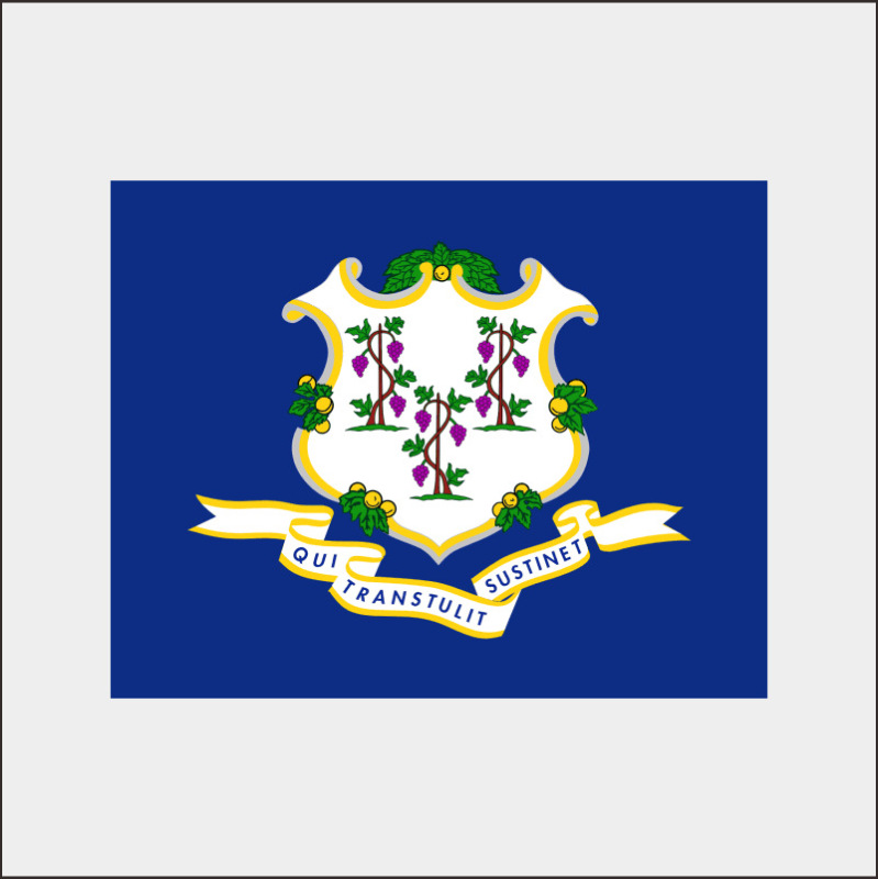 temu跨境货源户外美国州旗Arizona CaliforniaTexas flag工厂批发|undefined