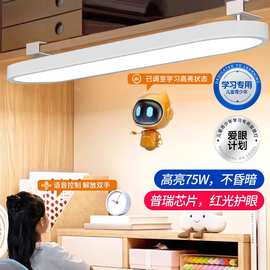 台灯壁挂式护眼学习儿童书桌书架一体长条大路灯阅读学生夹式