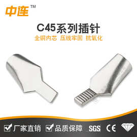 C45插针鸭嘴型插片2.5-95平方铜接线端子 空开铜鼻子紫铜线鼻子