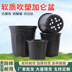 栄養鉢の黒いプラスチックのガロン鉢は厚いです。