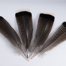 厂家直销现货花火鸡毛白头15-35cm火鸡窝翎尾毛DIY羽毛笔配件