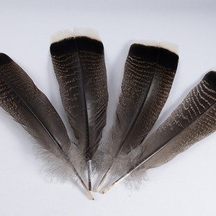 �S��ֱ�N�F؛�����uë���^15-35cm���u�C��βëDIY��ë�P���