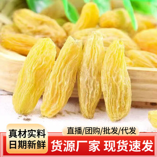 �½����w���Ѹɡ����l���oɳ���Ӹ�500g �����S��؛���T���Ѹ�