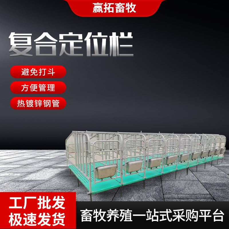 批发定位栏养猪场畜牧养殖限位栏加厚镀锌管5头10头位母猪定位栏