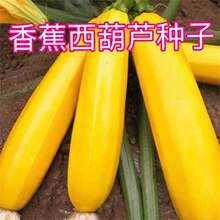 ���㽶�����J�N�ӡ�ꖹ���S�����Jˮ���Ϳ����Լ�ͥСԺ�̨����