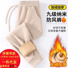 2024�¿��\��ѝ��Ů��������������_�{�׷��Lѝ�ӽq�Ӻ����e�lѝ