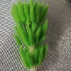 Green rabbit tails around 60 pieces