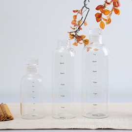 玻璃刻度酒瓶白酒储酒器玻璃瓶专用人参酒瓶高硼硅密封分装泡酒