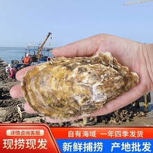 �a������r��������]50�����r��ĵϠ��Ϡ�����ú��rˮ�a�r�����l