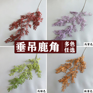 ��c���滨����¹�� ��Y���b����̨���� ����Gֲ���~���l