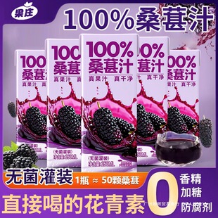100% Mulberry Juice Whole Box Affordable Concentrated Juice Fruit No Additives Herbal Tea Damaged Package Selected Genuine Default Item