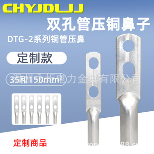 Double Hole Tube Pressure Copper Nose Dtg-2-35 150 Tube Type Copper Terminal Block Customized National Standard Tinned Copper Tube Pressure Nose