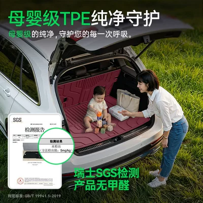Foot Mats, and Special Interior Supplies, Trunk Mat