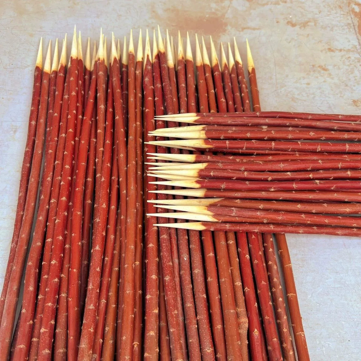 1000 синьцзянских красных ив для барбекю