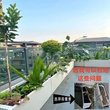 ˮ�໨��Nֲ���L�l����N�ˌ������L���λ�������ش�̖����