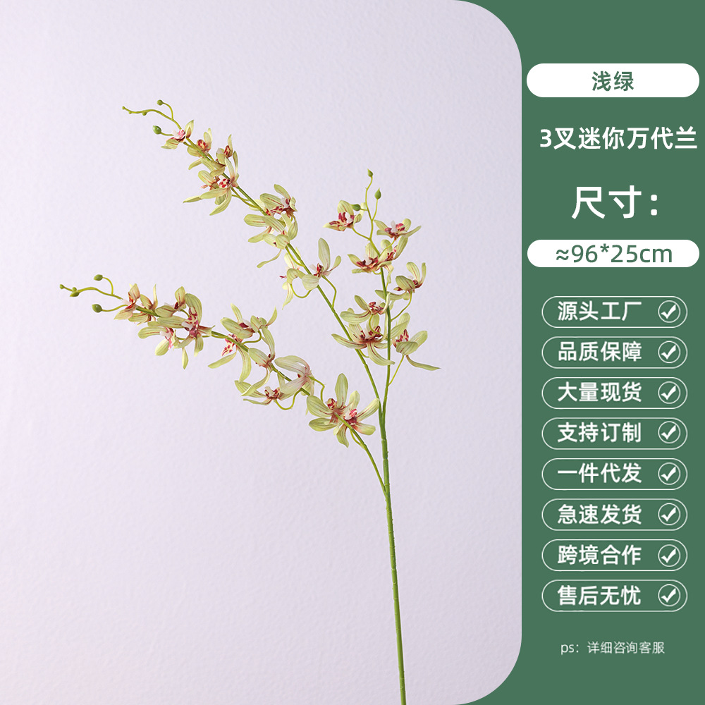 3-pronged mini cymbidium-light green