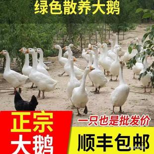 ����S��朰��]���r�ҬF������Z���Z���Z���Z���Z�����Z���Z���Z