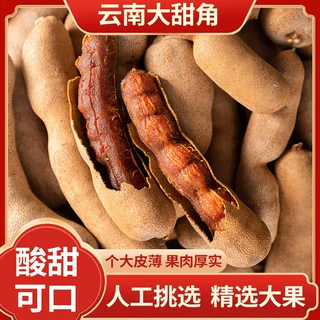 甜角酸角云南特产新鲜甜酸角带壳罗望子大果零食果干甜酸角