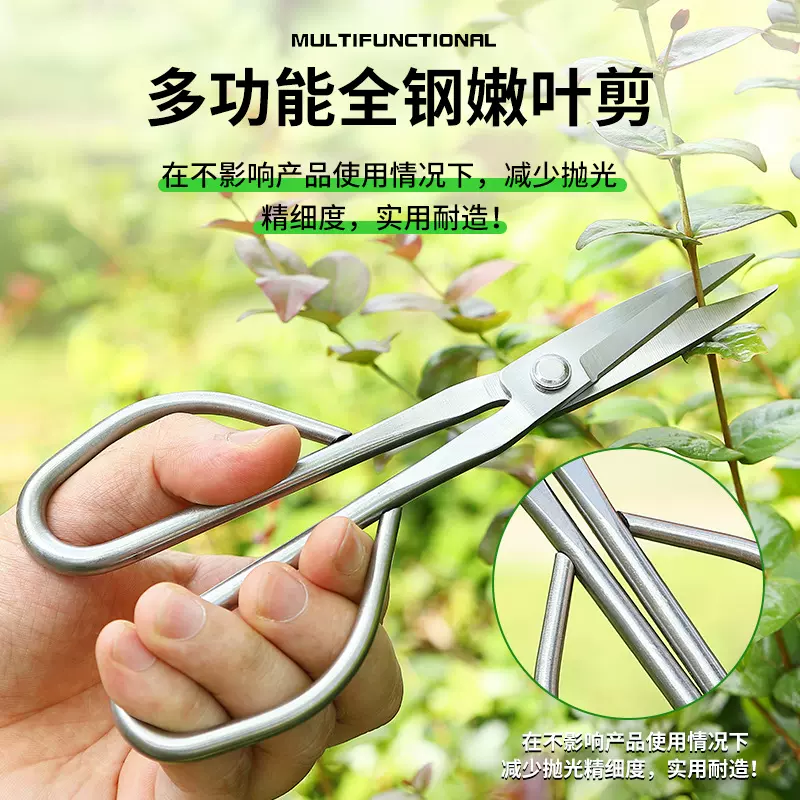 嫩叶剪刀盆景工具树枝剪加长不锈钢园艺剪嫩叶芽修枝剪全钢剪刀