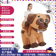 ��ʥ�ڿ�ͨ��������װ cosplay������������̨�ݳ���������