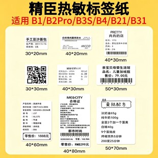 ����B1�˺���B3S/B21/B2Pro/B4�˺��C��ӡ����ɫ�����������z�N��