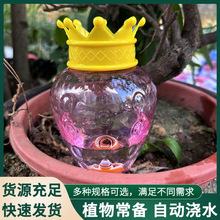 �羳�¿��ݮ�Π��Ԅӝ�ˮ����С�͝Bˮ�����˝���ֲ�ﳣ���ˮ��