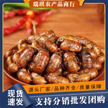 ֪�˺�2026���s���x�r��F�����rը�QӼ�Y�������������Ͳ���S